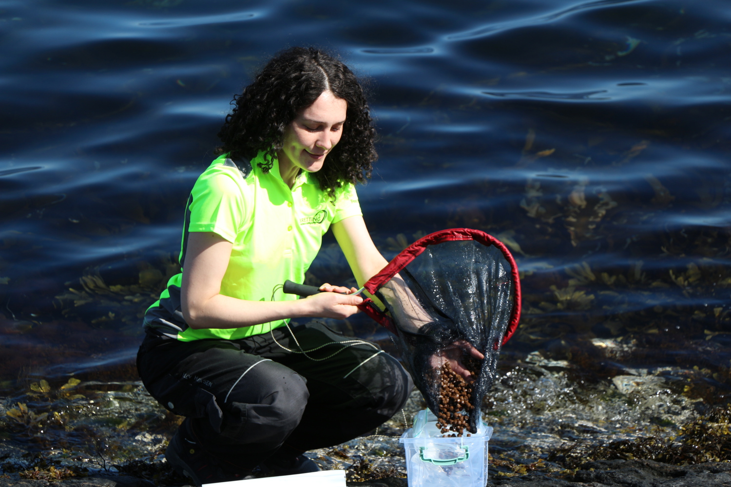 Researcher doing experiment on waterborne feeding.