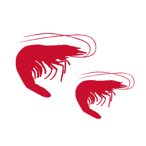 Whiteleg shrimp icon