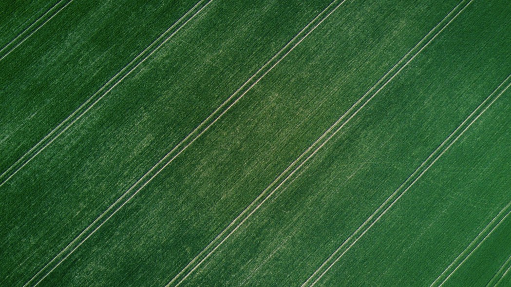 Green field