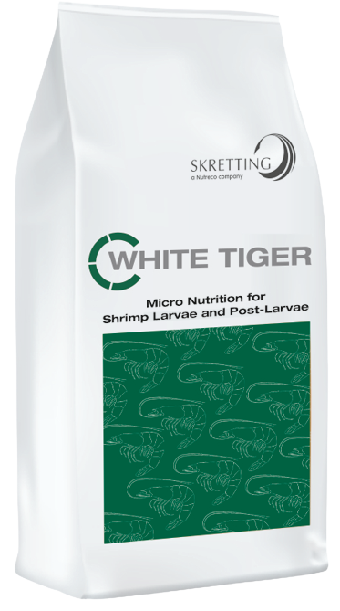 WHITE TIGER