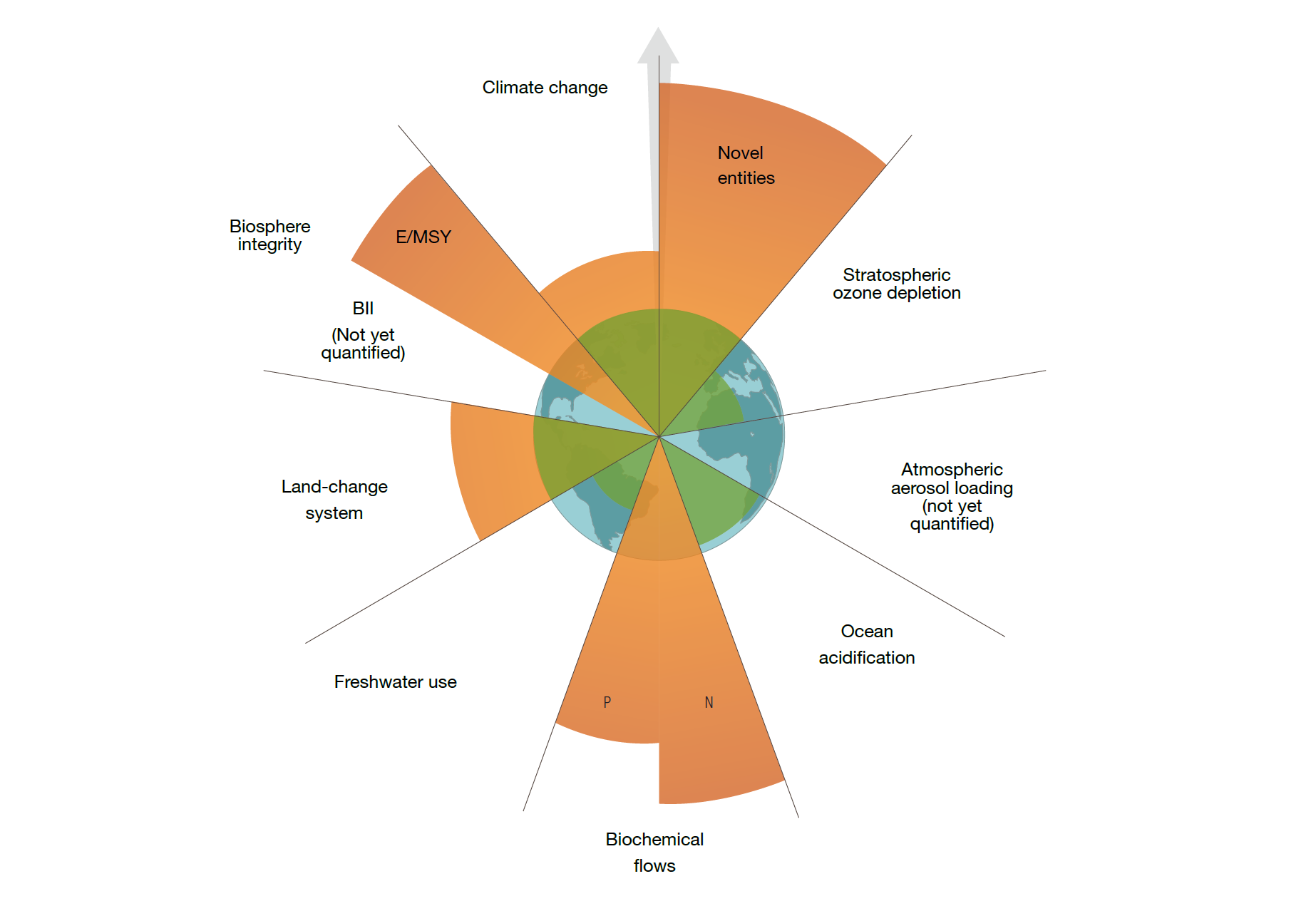 Life Cycle Assessment - Skretting