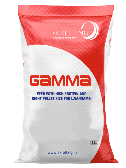 GAMMA