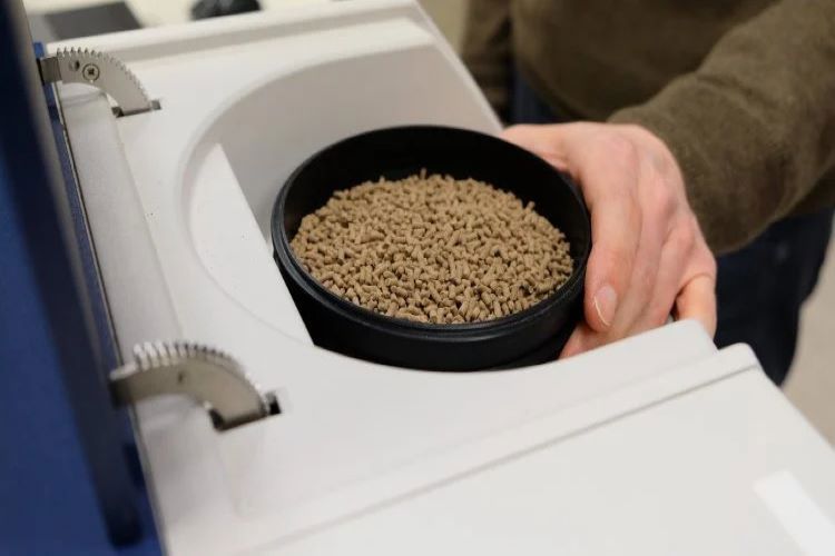 shrimp feed quality check