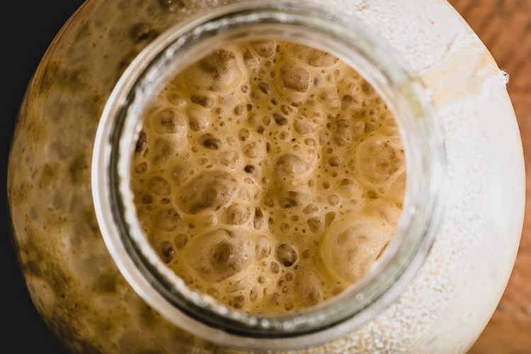 Yeast developing in bread