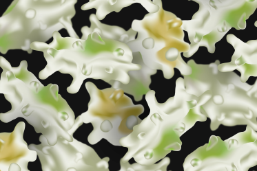 An illustration of bacteria under the microscope