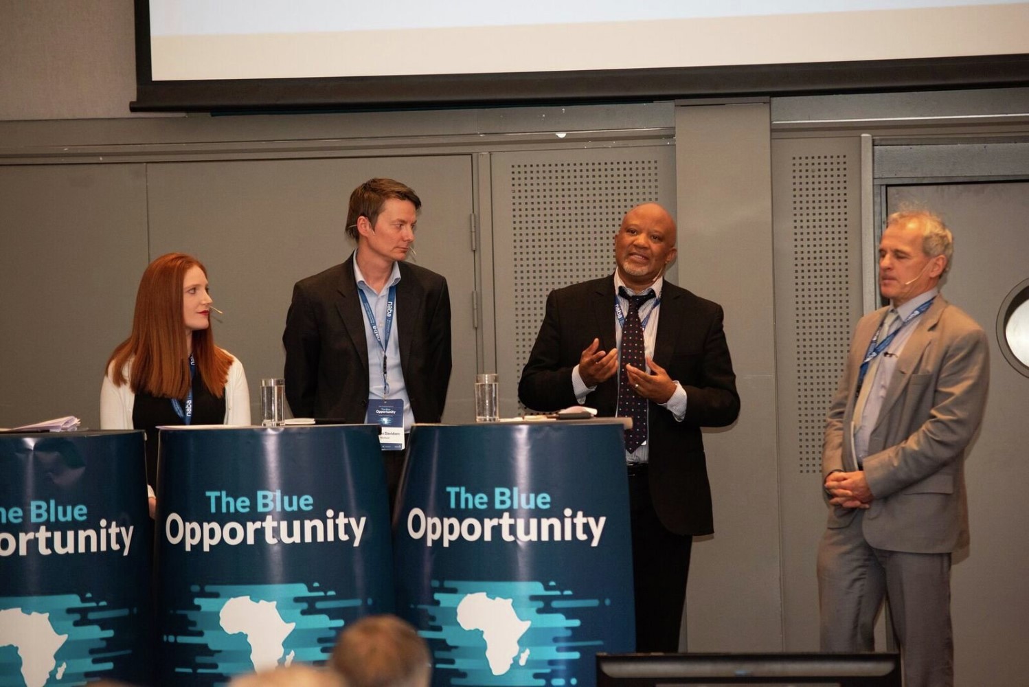 Nordic African summit