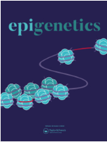 One-carbon metabolism nutrients impact the interplay between DNA ...