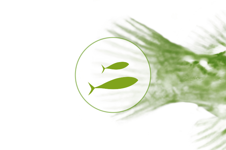 Illustration image good growth with feed for rock gilt