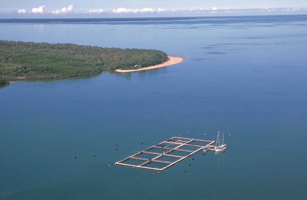 An aerial view of a fish farm at sea