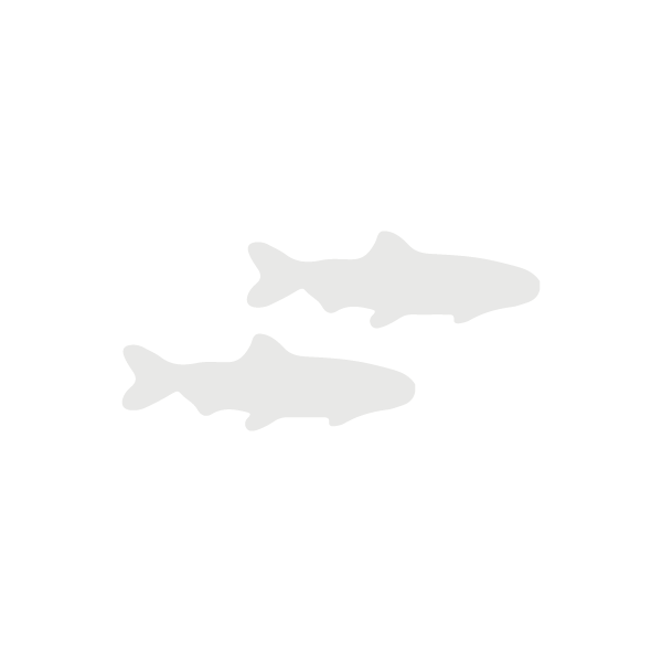 Salmonid lifecycle