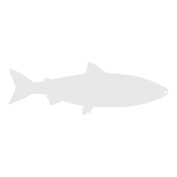 Salmonid lifecycle