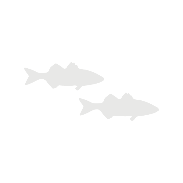 Sea Bass lifecycle